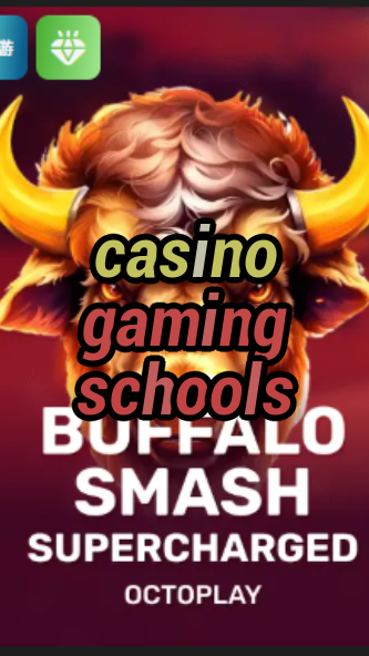 casino gaming schools-w4cy2mdjlx2bf.com
