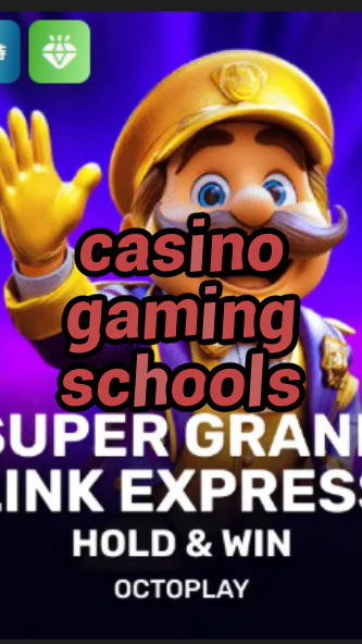 casino gaming schools-w4cy2mdjlx2bf.com